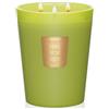 M&SENSE Candele profumate al basilico Ginger, candela grande bomboniere creative per matrimoni e battesimi, regali per la festa della mamma regali per casa nuova 990g, durata fino a 150 ore