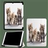 UOMSKTY Cover per iPad 10 Generazione 2022 10,9 Pollici,Custodia iPad 10a Gen (A2696/ A2757/ A2777),Sottile Leggero Protettivo Case,Auto Sveglia/Sonno Gatto Cattivo