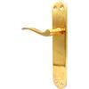 Micel - 07971 - Set di maniglia per porta con piastra in acciaio e maniglia in alluminio, finitura ottonata, colore: oro, 240 x 123 x 50 mm