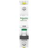 Schneider Electric A9F03132 Interruttore automatico iC60N, 1P, 32A, B caratteristiche, bianco, 32 Ampere B