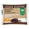 PROBIOS Viva Mais - 2 Gallette di Mais con Cioccolato Fondente 32 grammi