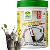 Albagarden - Mastice Per Innesti E Potature ++ Con Rame ++ Antibatterico Pasta Cicatrizzante Curativa Per Ferite Piante Alberi Arbusti Kit Bonsai X 1 Kg