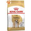 Royal Canin Dog Adult Bulldog Inglese - Sacco Da 12 Kg
