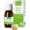 BOIRON Srl RUBUS IDAEUS BOIRON MACERATO GLICERICO 60 ML