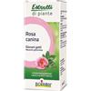 BOIRON Srl ROSA CANINA BOIRON MACERATO GLICERICO 60 ML