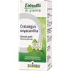 BOIRON Srl CRATAEGUS BOIRON MACERATO GLICERICO 60 ML