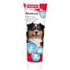 BEAPHAR B.V. BEAPHAR DENTIFRICIO 100 G
