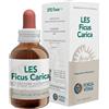 FORZA VITALE ITALIA Srl LES FICUS CARICA GOCCE 50 ML