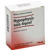 GUNA SpA Hypophysis Suis Inj 10f Heel