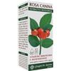 Dr.giorgini ser-vis srl ROSA CANINA ESTR INTEGR 200ML