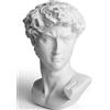 YiYFiT Resina Busto Statua Figurina, 6 15cm Mitologia Greca David Busto Scultura figurina per la casa Ornamento Ufficio Libreria Decor Schizzo Pratica Fai da Te Arte Regalo-David