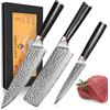 Home Safety Set Coltelli da Cucina, 3 Pezzi, Coltello da Chef in Acciaio Damasco con 67 Strati, Set Di Coltelli da Carne Affilati Professionali, Lama da 12.5-19.3cm, Manico G10, in confezione Regalo