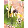 Star Comics A white rose in bloom (Vol. 3)