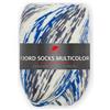 PRO LANA Fjord Socks Multicolor 4 scomparti 483 - blu/grigio