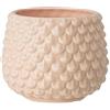 Nordring Vaso Pino - per Fiori da Interno e Piante da Interno, Piante grasse, Cactus, Orchidee M (13,5 cm ø), SEL de Mer, Ceramica Gres