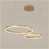 YYUTLUO Lampadario LED Moderno DIY Cerchio | 2 Oro Anelli :40+60cm=40W | Illuminazione A Sospensione LED In Metallo+Acrilico Telecomando Dimmerabile Lampada Sospensione Soffitto Rotondo Soggiorno