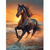 Bimkole 5D Diamond Painting Kit Completo Fai da Te Cavallo Marrone, Animale Pittura Diamante Punto Croce Strass Arte E Creazione Di Mosaico Decorazione Murale Artigianale 30X40 cm