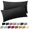 Blumtal Federe Cuscini Divano 50x80 cm - Set di Copricuscini per Divani in Microfibra a 2 Pezzi con Chiusura a Busta, certificati Oeko-Tex, extra morbidi e lavabili - Antracite
