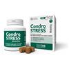 Innovet Condrostress Mobility Soft Chews per Cani Adulti e Anziani Innovet, 60-soft-chews