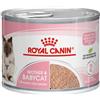 royal canin Feline health nutrition wet mother & babycat instinctive 195 g