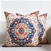 Aisybaklyn Home Copricuscini Divano 40x40 Cuscini per Divano Federe Decorativi Tribale Astratto Fodera Cuscino Quadrato Etniche Fodere All'aperto Boemia Camera da Letto Soggiorno Set di 2