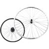 RMS RUOTA POSTERIORE 26 X 3/8 6/7 V City Bike