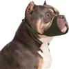 HYHIOTS Museruola per cani di piccola taglia, museruola corta per chihuahua, shih tzu, bullo americano, boxer, cucciolo, morbida, anti abbaio e morso, per cani di taglia media (verde militare, XL)