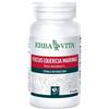 ERBA VITA GROUP SpA FUCUS 60CPS 500MG