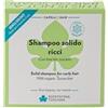 Biofficina Toscana Shampoo solido capelli ricci, 80 g - Shampoo volumizzante per capelli ricci elastici e morbidi - Con kiwi bio toscano, senza solfati, plastic-free