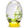 SMELEYOU Piccolo acquario per pesci rossi, mini acquario, ecosistema acquatico chiuso con luce a LED, stabile base gialla, non c'è bisogno di nutrire o cambiare acqua