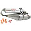 Leovince TT - Tubo di scappamento sportivo per Piaggio Liberty 50, Diesis, Fly, Free, NTT, Quartz, S50, Storm (50 ccm/2 tempi)