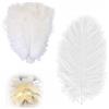 SSyang 30 piume di struzzo 15-20 cm, piume bianche, piume di struzzo naturale, piume grandi, per matrimoni, feste, decorazioni per la casa
