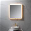 neoro n50 Metal Touch specchio illuminato La: 60 cm, con illuminazione su tutto il perimetro, diretta + indiretta, BN0038MI, n50 [Specchi > Specchi]