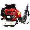 GeoTech BB660EVO - Soffiatore a scoppio a zaino motore 2 tempi