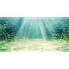 MIRRORANG 61x41cm Acquario Sfondo Pianta Acquatica Bolla Subacquea Oceano Pavimento Pesce Serbatoio Poster Sfondo Vinile Sfondo