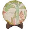 Tea Soul Tè Puer Sheng (crudo) Nannuoshan 2021 100gr
