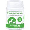 Therzyme acute polvere 160 g