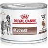 Veterinary diet wet dog & cat recovery 195 g