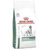 Veterinary health nutrition dog diabetic 1,5 kg