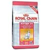 Feline health nutrition second age kitten 2 kg