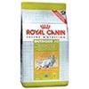 Feline health nutrition active life outdoor 2 kg