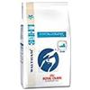 Veterinary diet feline hypoallergenic 2,5 kg