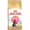 Feline breed nutrition maine coon kitten 400 g