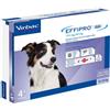 Effipro Duo 4 Pipette per Cani 10-20 kg