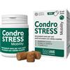 Condrostress mobility 30 soft chews