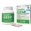 Condrogen puppy 60 compresse