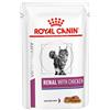 Veterinary health nutrition wet cat renal chicken 12x85 g