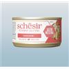 Schesir Veterinary Solutions Gastrointestinal Filetti di Pollo gr.80. Diete Cibo Umido Per Gatti .