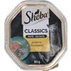 Sheba Patè Classic Con Pollame (Tacchino) gr 85. Alimento Per Gatti