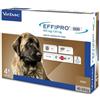 Virbac Effipro Duo Cane Xlarge 40-60 Kg 4 Pipette Antiparassitario per Cani